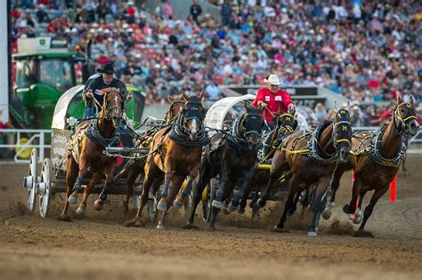 The Calgary Stampede